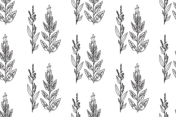 Download Black and White Botanical Plants Vector - Botanical Collection