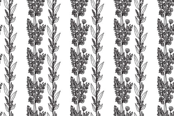 Download Black and White Botanical Plants Vector - Botanical Collection