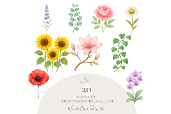 Download Botanical Clipart Set - Botanical Collection