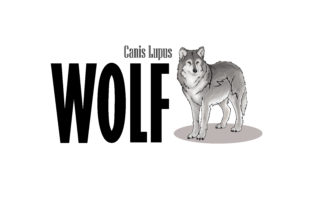 Download Wolf Design Craft - Premium Resources