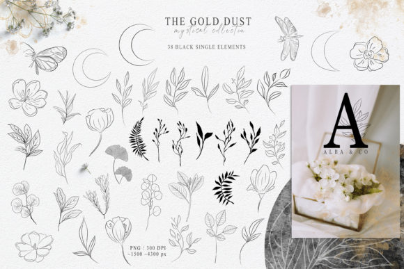 Download Botanical Line Art Clipart. Floral Set - Botanical Collection