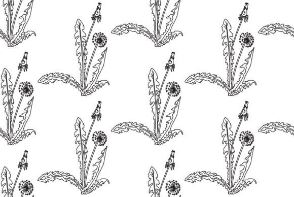 Download Black and White Botanical Abstract Vecto - Botanical Collection
