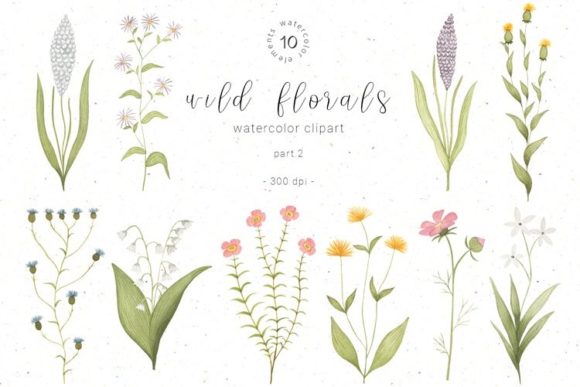 Download Watercolor Wildflower Botanical Clipart - Botanical Collection