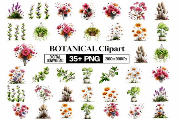 Download Whimsical Botanical Clipart - Botanical Collection