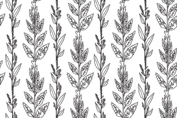 Download Black and White Botanical Plants Vector - Botanical Collection
