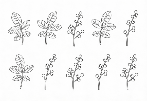 Download Botanical Line Art Clipart Leaves and - Botanical Collection