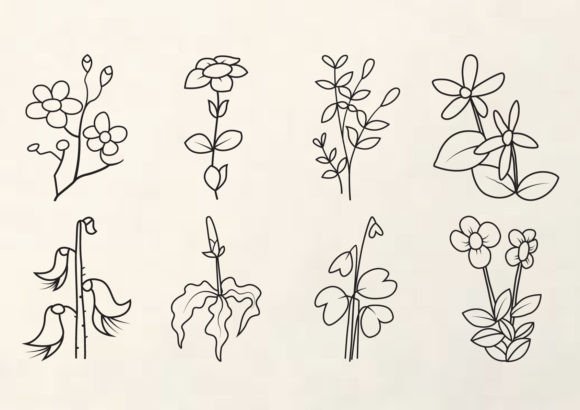 Download Botanical Line Art Clipart - Botanical Collection