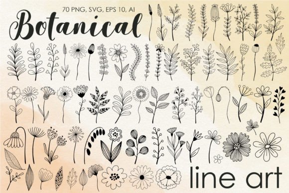 Download Botanical Line Art Clipart - Botanical Collection